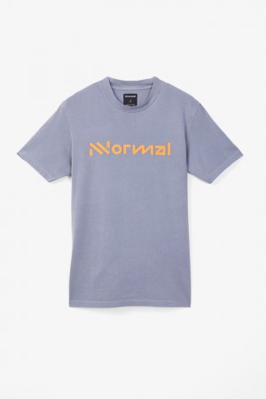 NNormal Organic cotton t-shirt Blu | LAVMZ-5438